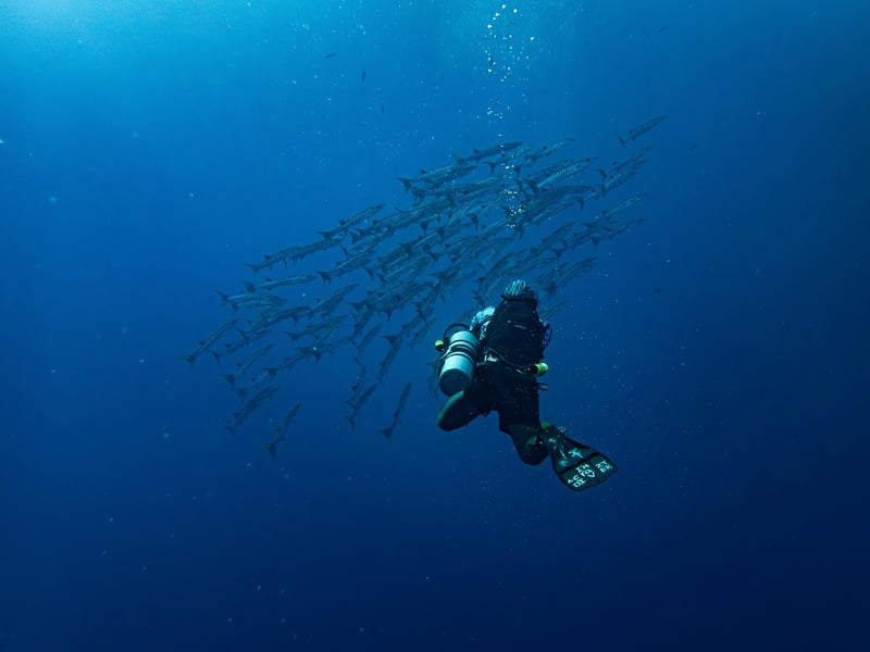 Snorkeler exploring the ocean depths